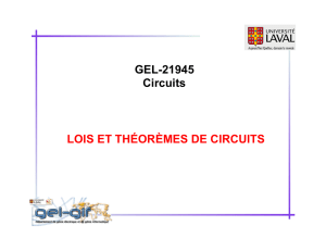 Lois et théorèmes des circuits