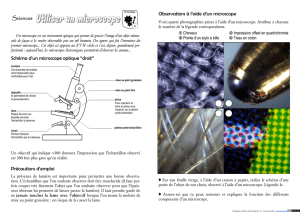 Sciences Schéma d`un microscope optique - Bruce Demaugé