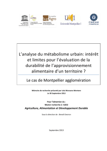 L`analyse du métabolisme urbain: intérêt et limites pour l
