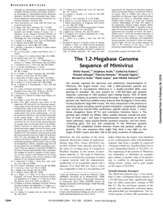 Raoult, D., et al. 2004. The 1.2-megabase genome sequence of
