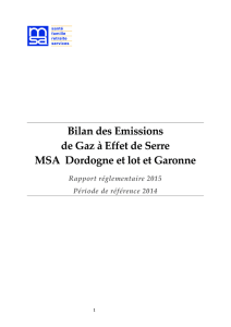 Bilan 2015 des émissions gaz effet de serre MSA DLG