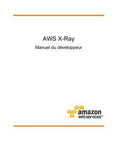 AWS X-Ray - Manuel du développeur