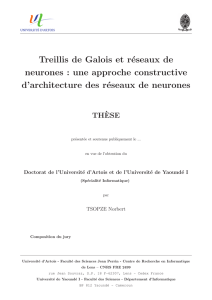 Treillis de Galois et réseaux de neurones : une approche