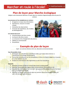 Plan de leçon pour Marche écologique Exemple de plan