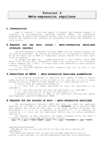 meta-expression reguliere