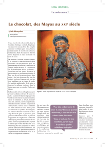 Le chocolat, des Mayas au XXI e siècle