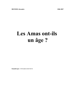 Rapport