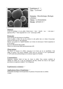 Expérience n° : 1 Titre : "La levure" Domaine : Microbiologie