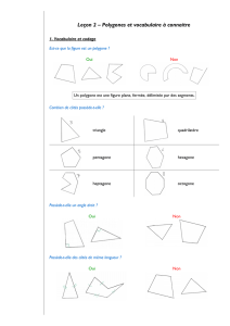 Leçon 2 – Polygones et vocabulaire à connaitre