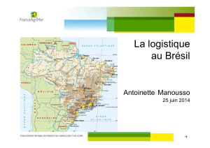 Présentation de l`état des lieux de la logistique au Brésil