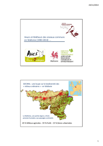 Heurs et malheurs des oiseaux en Wallonie