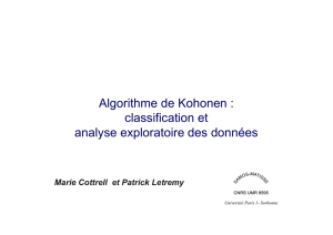 Algorithme de Kohonen : classification et analyse exploratoire des