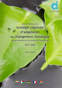 Document cadre de stratégie régionale d`adaptation au changement