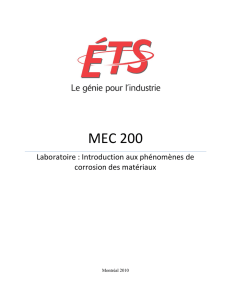MEC200_Lab de corrosion