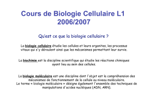 Cours de Biologie Cellulaire L1 2006/2007 - Fichier