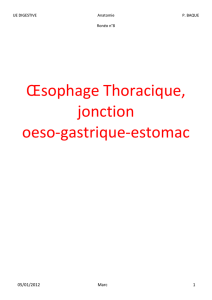 Œsophage Thoracique, jonction oeso-gastrique