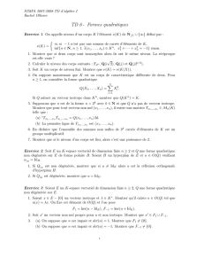TD 6 - Formes quadratiques