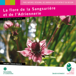 Brochure "La flore de la Sangsurière et de l`Adriennerie