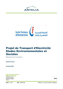 Projet de Transport d`Electricité Etudes Environnementales et Sociales