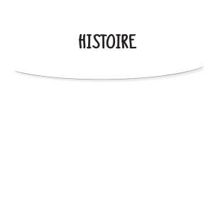 HISTOIRE - Editions Ellipses