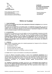 Notice sur la grippe