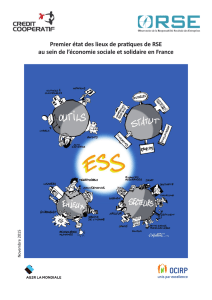 premier état des lieux des pratiques de RSE au sein de l`économie