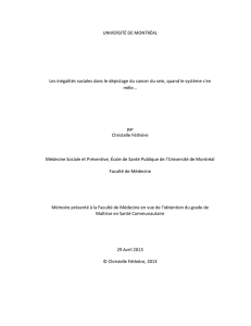 Christelle_Fethiere_2013_memoire - Papyrus
