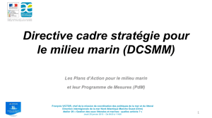 Directive cadre stratégie pour le milieu marin