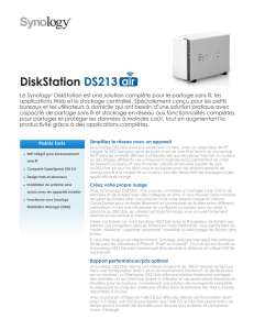DiskStation DS213