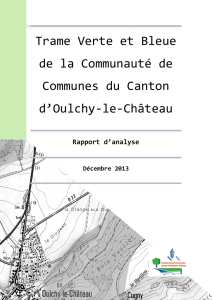 Rapport d`analyse - Communauté de Communes du Canton d