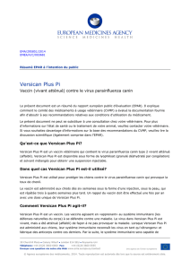 Versican Plus Pi, INN- canine parainfluenza type 2 virus, strain cpiv2
