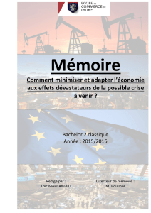 Comment minimiser et adapter l`économie aux effets dévastateurs