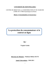 La protection du consommateur et le contrat en ligne