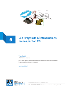 Les Projets de réintroductions menés par la LPO - LPO Rhone