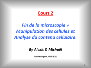 Cours 2 : Fin de la microscopie + Manipulation des cellules et