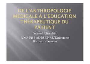 Bernard Cherubini UMR 5185 ADES-CNRS/Université