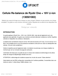 Cellule Re-balance de Ryobi One + 18V Li-ion (130501002)