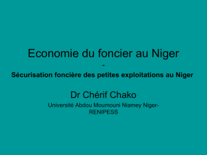 Economie du foncier au Niger - Sécurisation foncière des petites