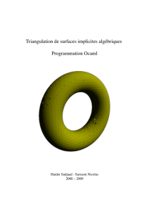 Triangulation de surfaces implicites algébriques Programmation