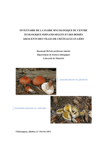 inventaire de la flore mycologique du centre écologique fernand