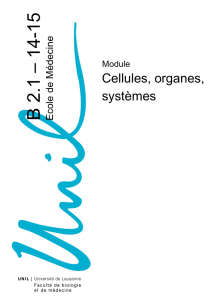 2014-2015 Cahier de module B2.1