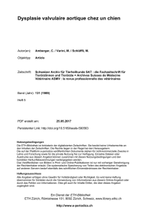 Dysplasie valvulaire aortique chez un chien - E