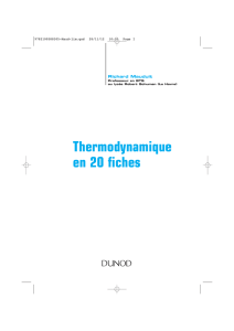 Thermodynamique en 20 fiches