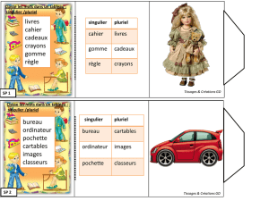 singulier /pluriel