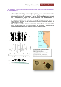 Paléomagnétisme océanique Th1B – Histoire Tectonique