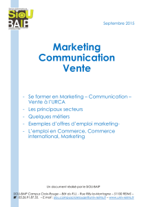 Marketing - Communication - Vente : études et emploi