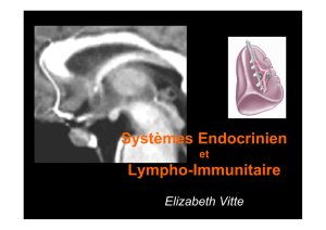 Système Endocrine