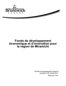 Fonds de développement économique et d`innovation pour la région