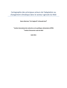 Cartographie des principaux acteurs de l`adaptation au changement