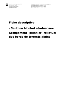 Fiche descriptive - «Caricion bicolori atrofuscae» Groupement